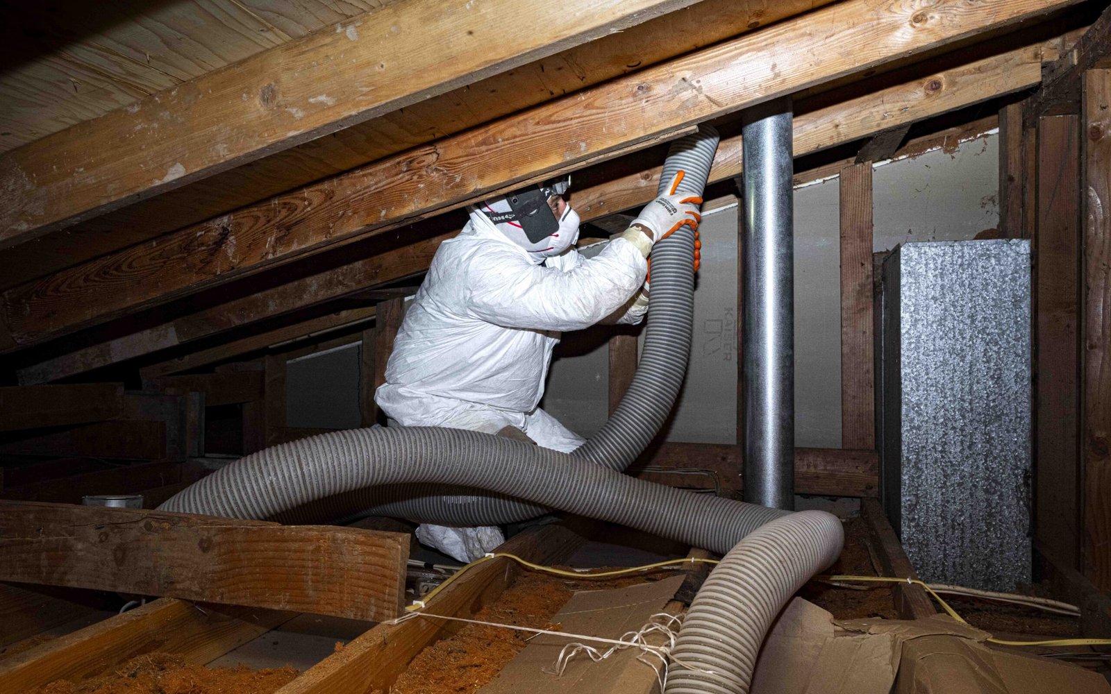 Rodent Control in Plano, TX