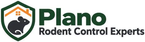 Plano Rodent Control Experts